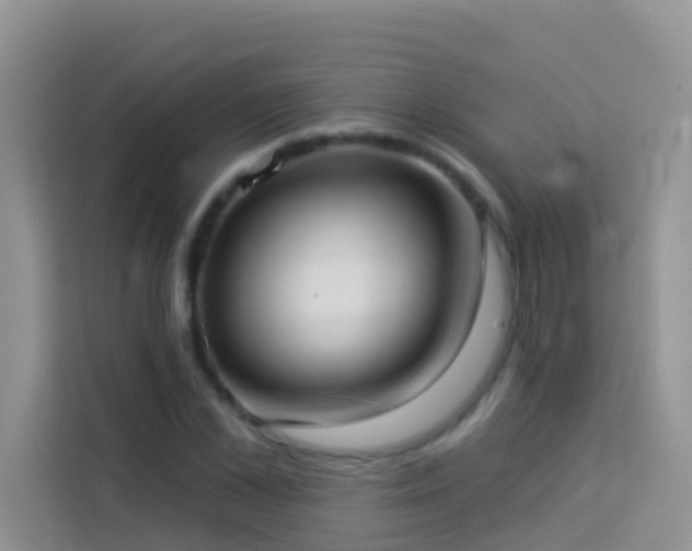 X0000114070973200910051335