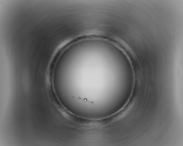 X0000114070974200910051335