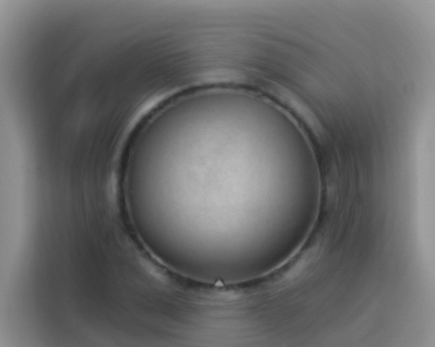 X0000114070975200910051335