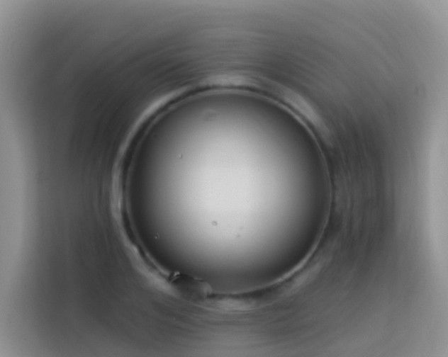 X0000114070984200910051334