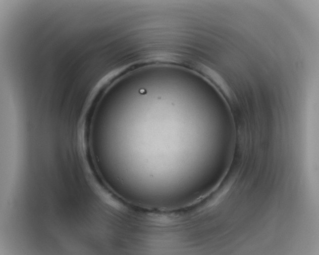 X0000114070987200910051334