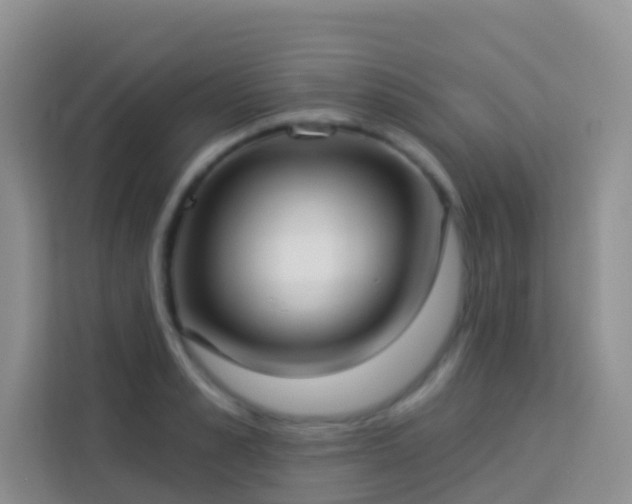 X0000114070989200910051334