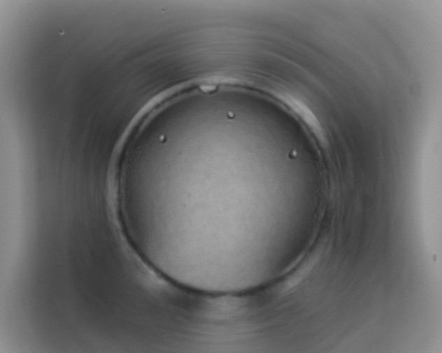 X0000114070992200910051334