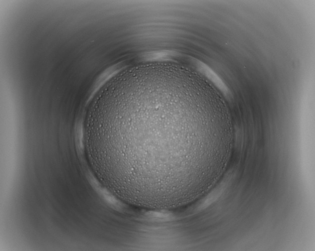 X0000114070994200910051334