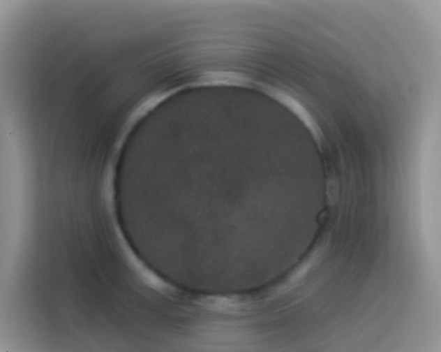 X0000114070995200910051334