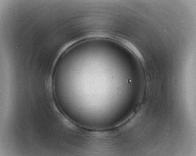 X0000114070996200910051334