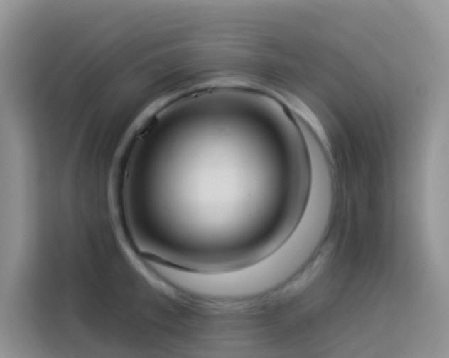 X0000114070997200910051334