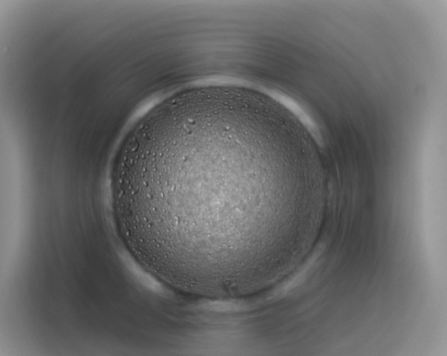 X0000114070998200910051334