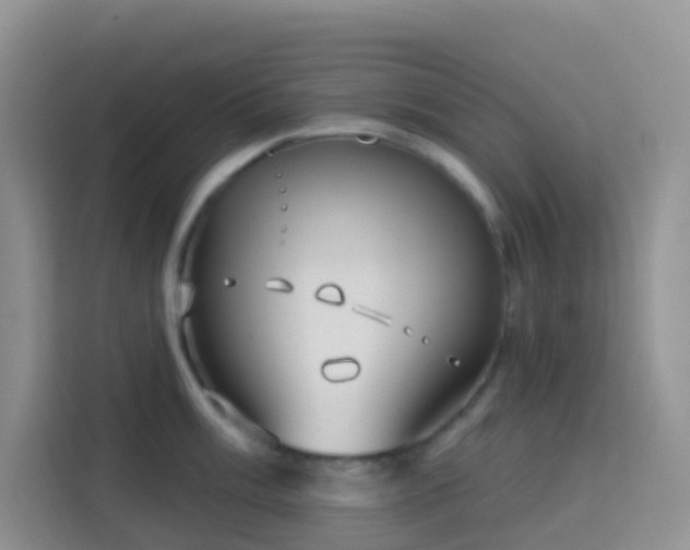 X0000114071003200910051334