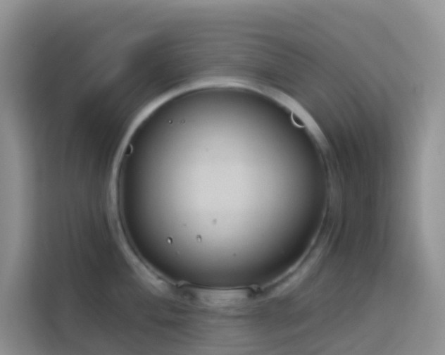 X0000114071004200910051334