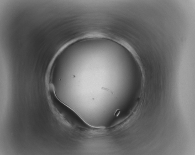 X0000114071008200910051334