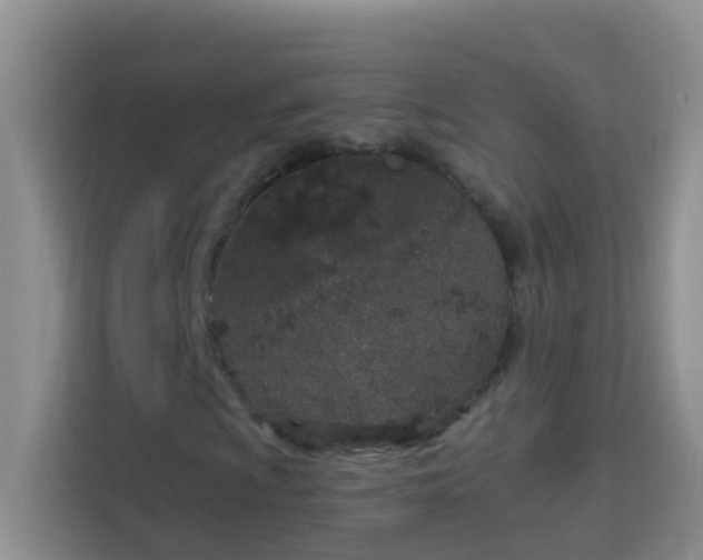 X0000114071009200910051334