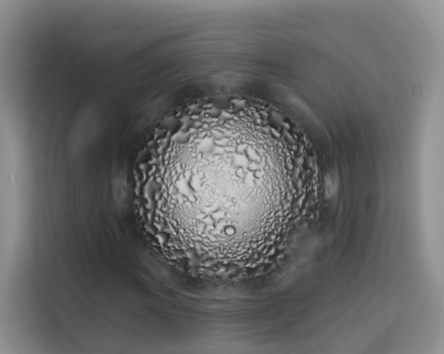 X0000114071011200910051334