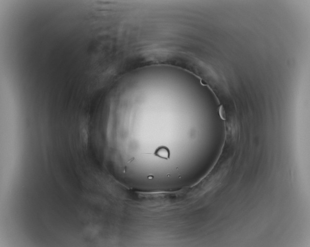 X0000114071012200910051334