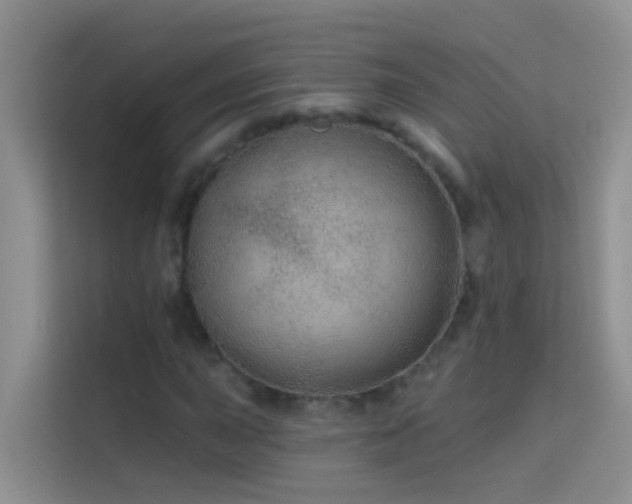 X0000114071015200910051334