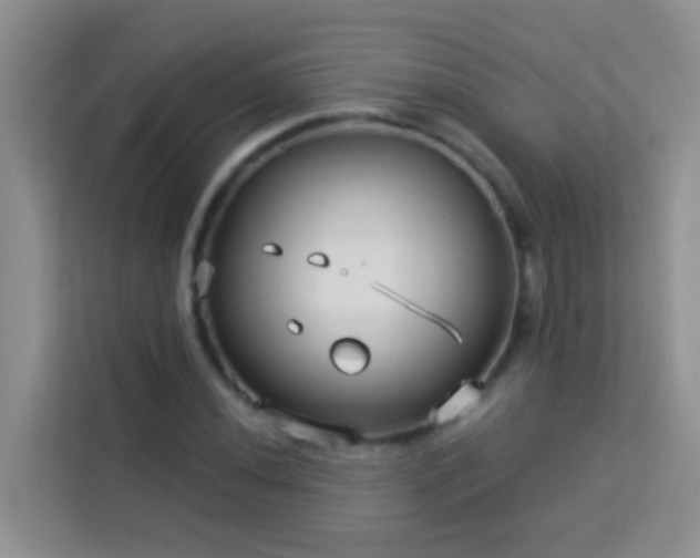 X0000114071020200910051334