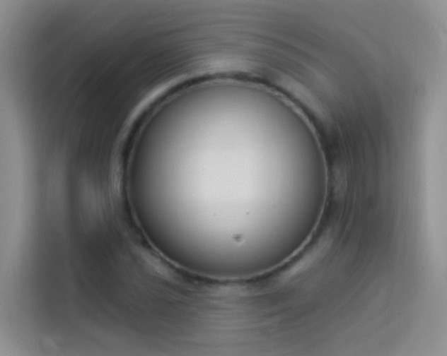 X0000114071021200910051334