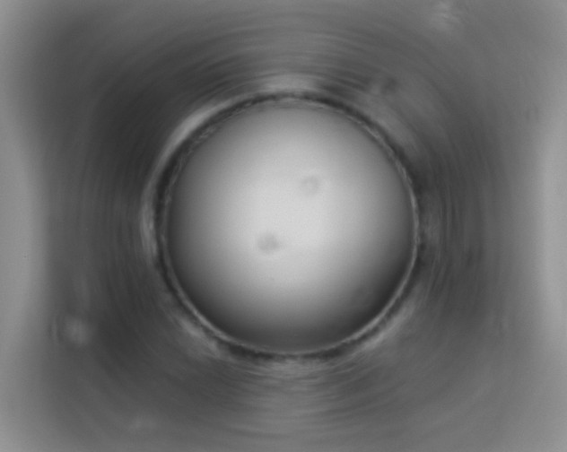 X0000114071022200910051334