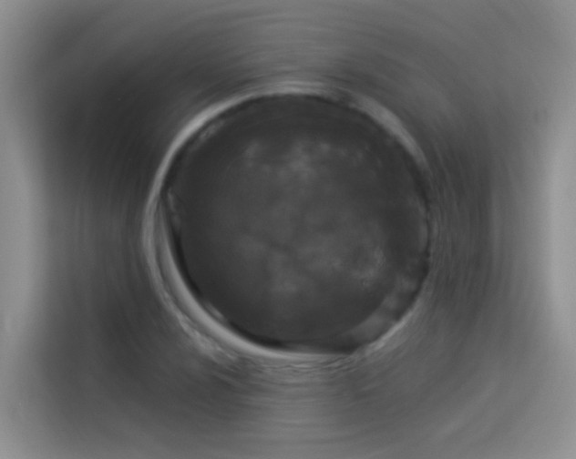 X0000114071024200910051334