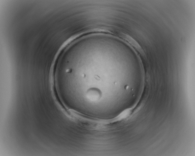 X0000114071028200910051334