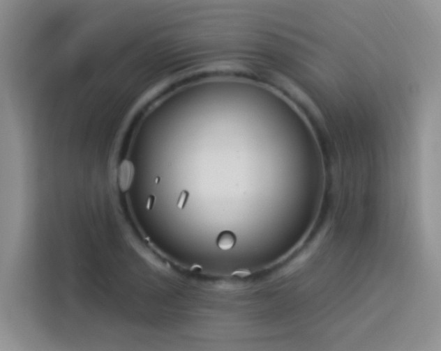 X0000114071029200910051334