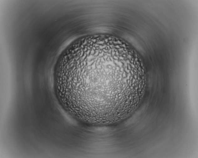 X0000114071031200910051334