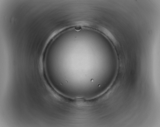 X0000114071032200910051334