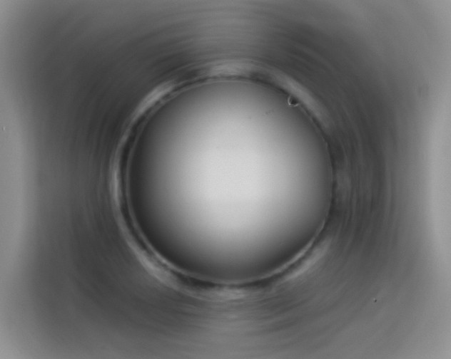 X0000114071034200910051334