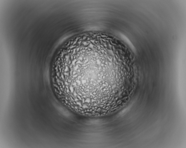 X0000114071035200910051334