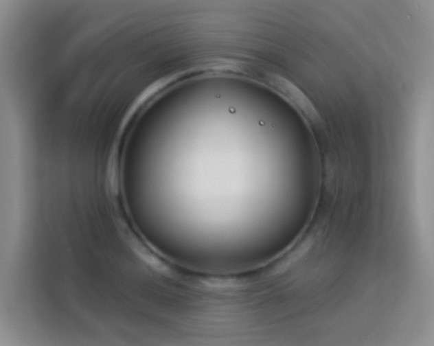 X0000114071036200910051334