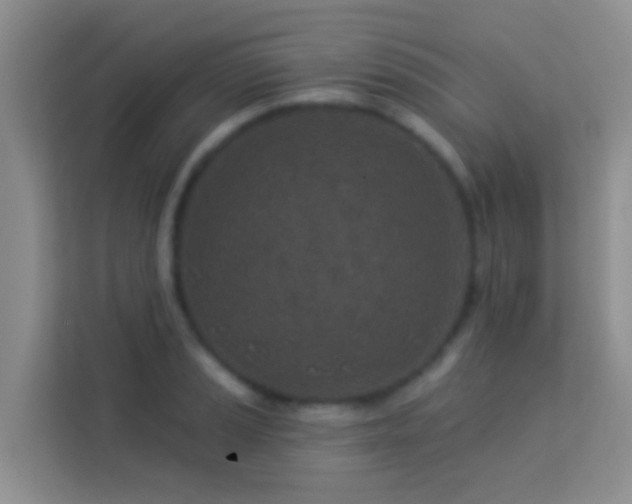 X0000114071037200910051334