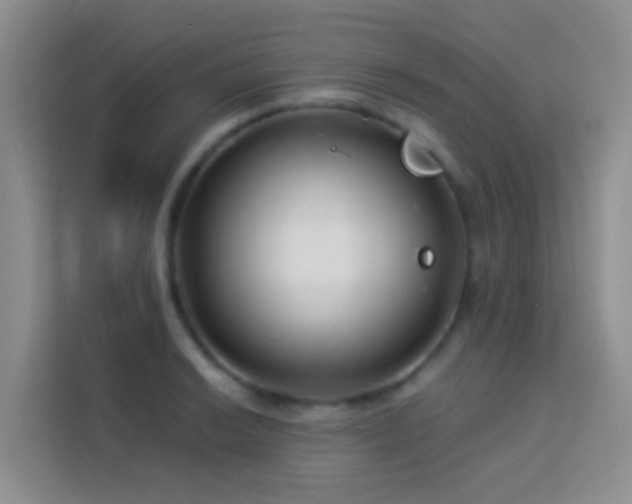 X0000114071038200910051334