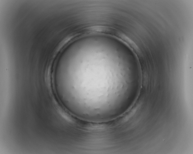 X0000114071039200910051334