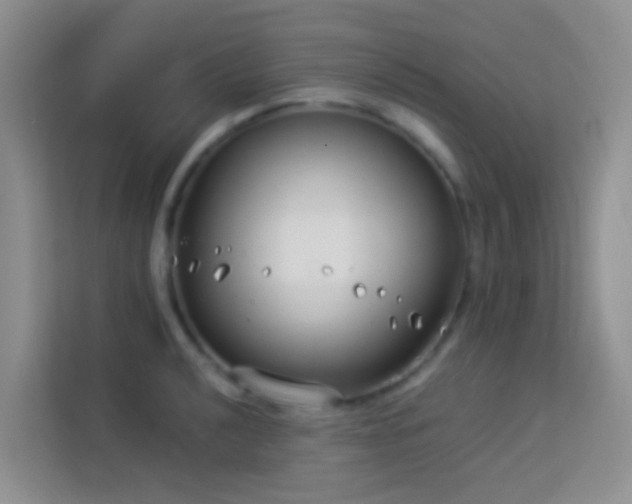 X0000114071040200910051334