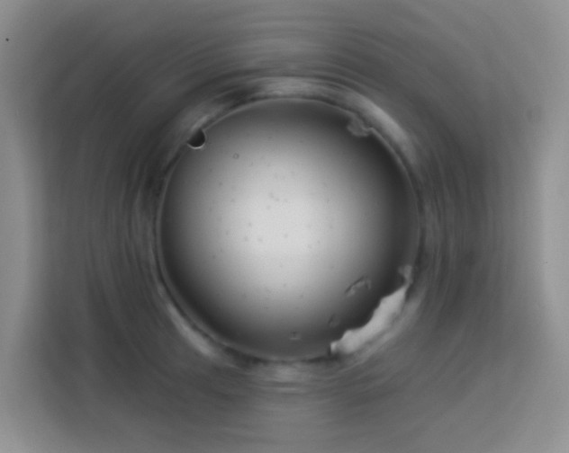 X0000114071041200910051334