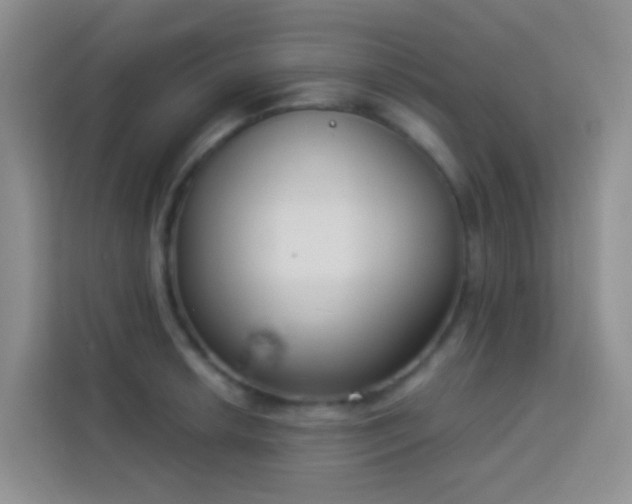 X0000114071042200910051334