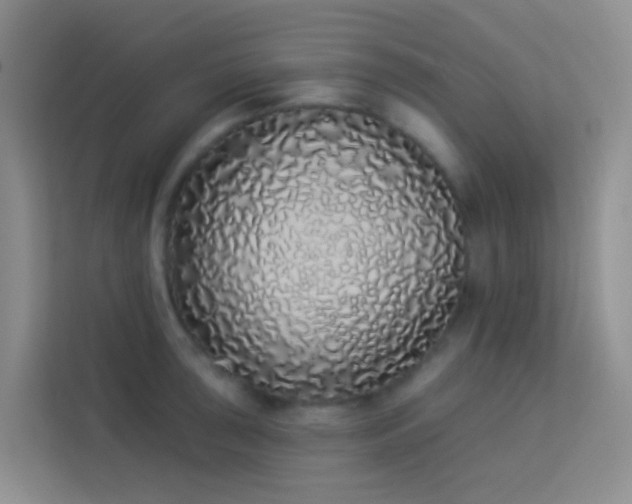 X0000114071043200910051334