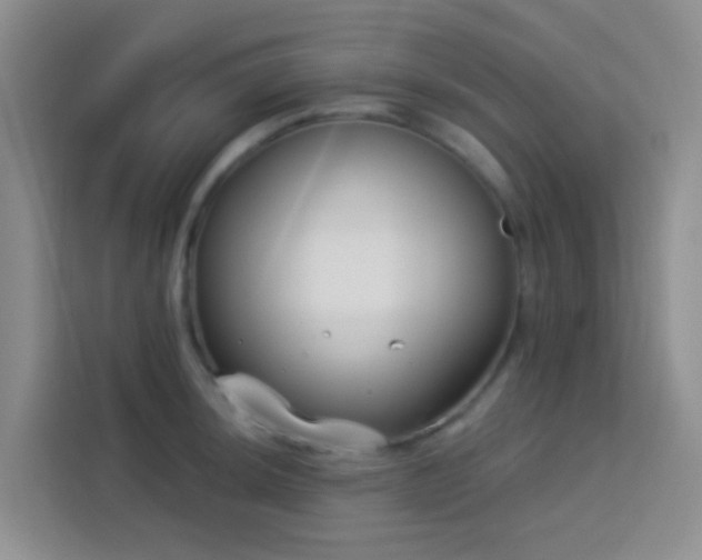 X0000114071044200910051334