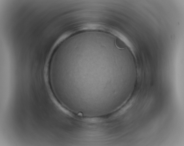 X0000114071045200910051334