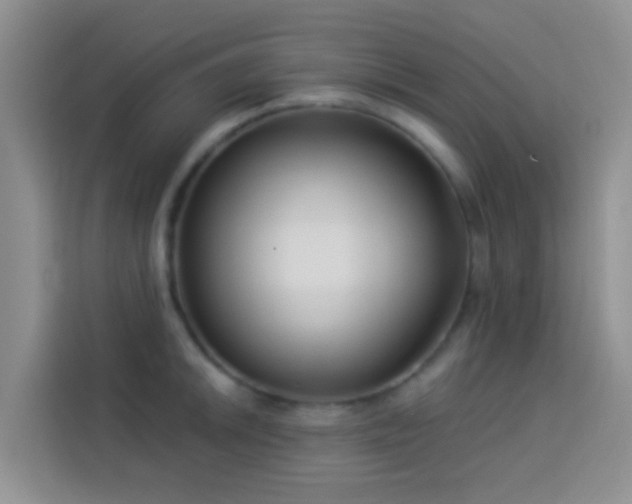 X0000114071046200910051334