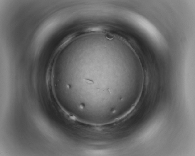 X0000114071052200910051334