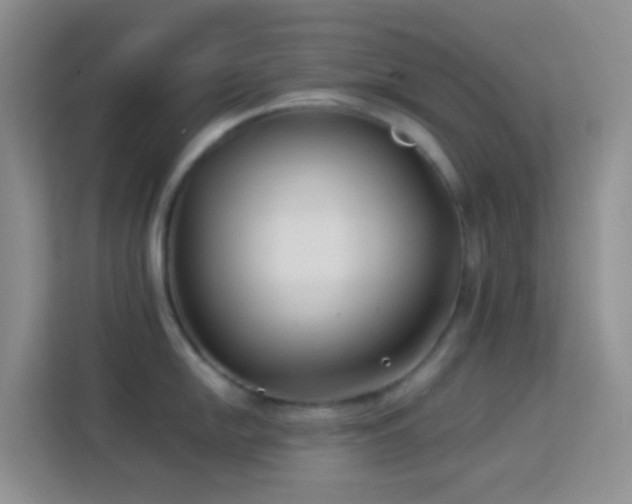 X0000114071054200910051334