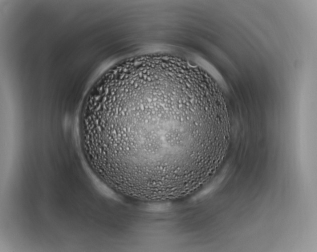 X0000114071055200910051334