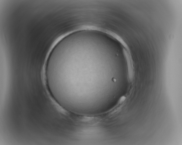 X0000114071056200910051334