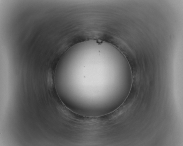 X0000114071058200910051334