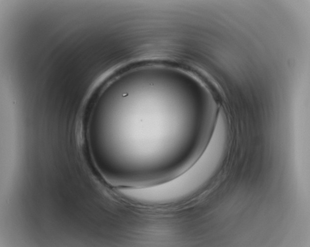 X0000114071069200910051333