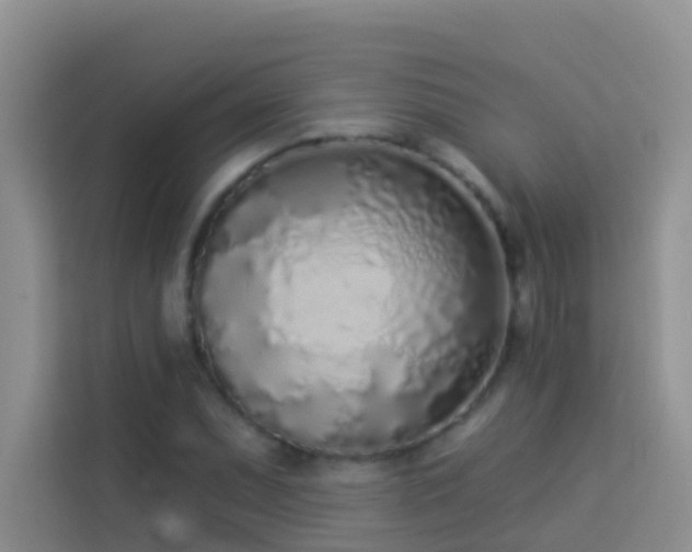 X0000114071071200910051333