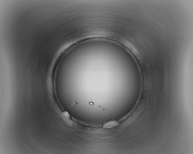 X0000114071072200910051333