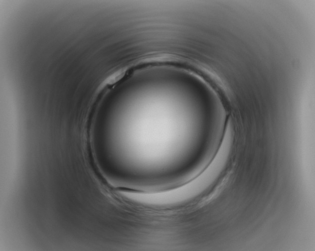 X0000114071073200910051333