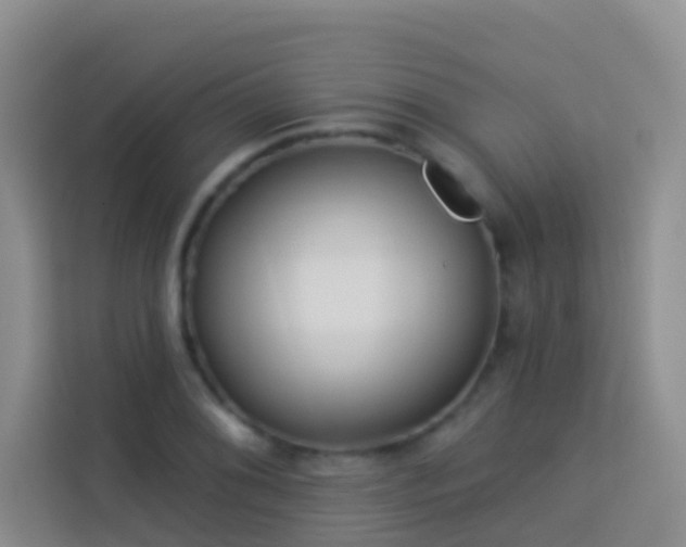 X0000114071076200910051333